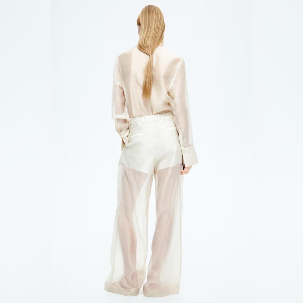 H&M EDITION WIDE-LEG SHEER PANTS - Picture 5 of 14